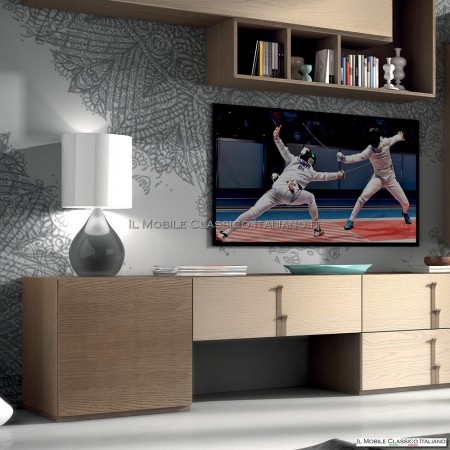 Modern equipped wall living room