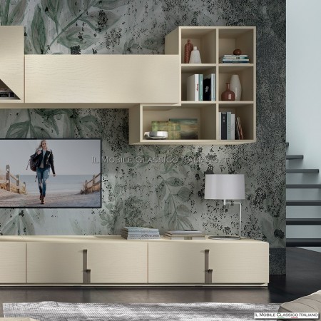 Mur équipé moderne pour le salon