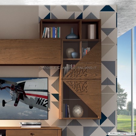 Modern equipped wall with showcase